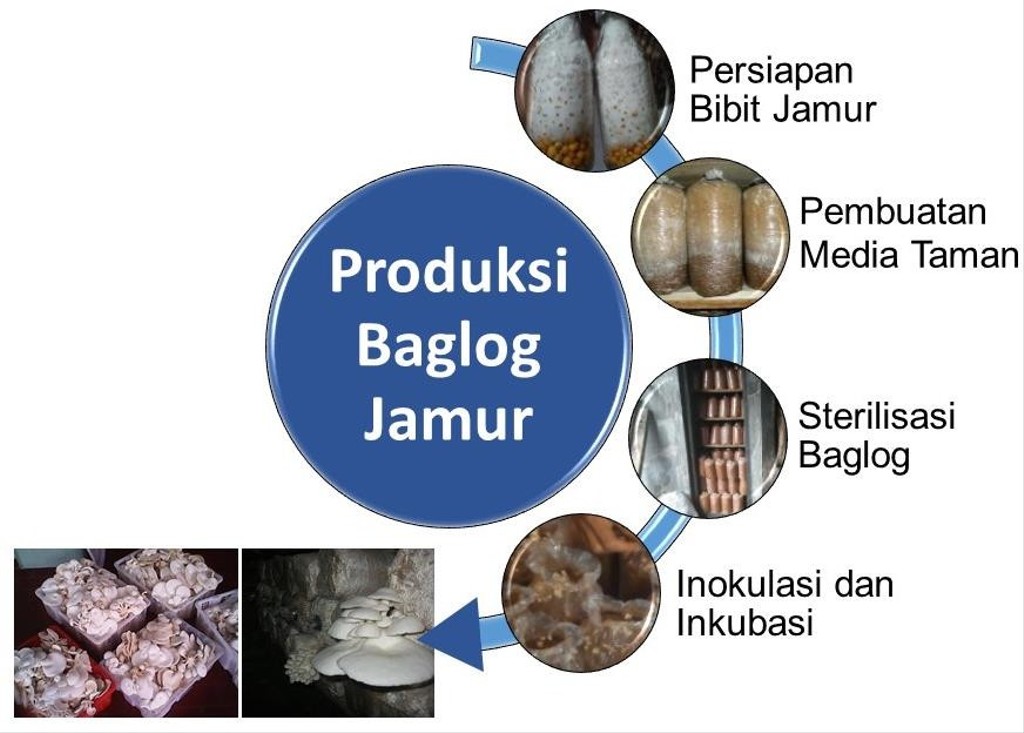 Memodifikasi Sistem Boiler dalam Proses Sterilisasi Baglog Jamur