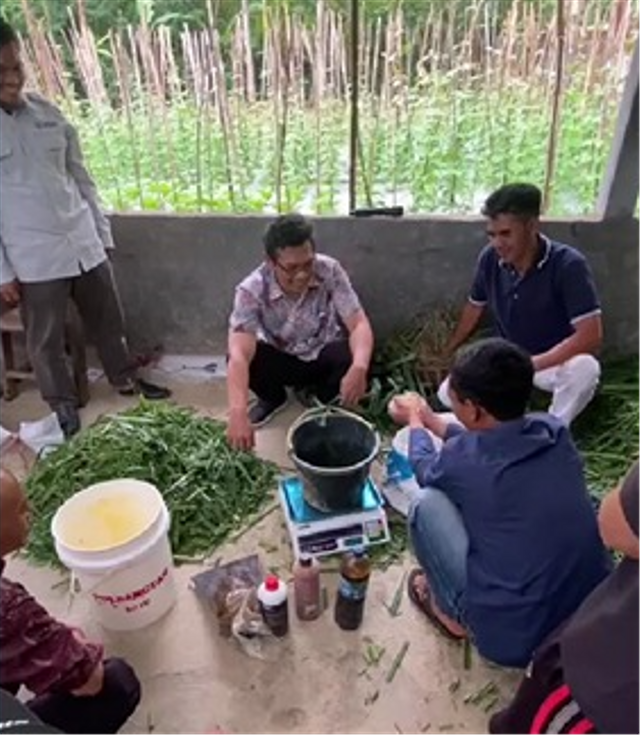 Dosen UMY Maksimalkan Pemanfaatan Limbah Pertanian sebagai Pakan Ternak